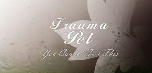 Trauma pet – You cannot feel this